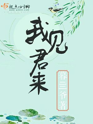 顶点小说网旧版本下载