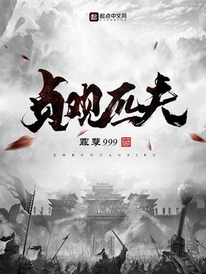 贞观匹夫