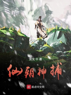 抬棺迎娶女将军的小说